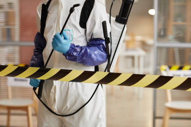 Professional Sewage Cleanup technician working in Weehawken, NJ